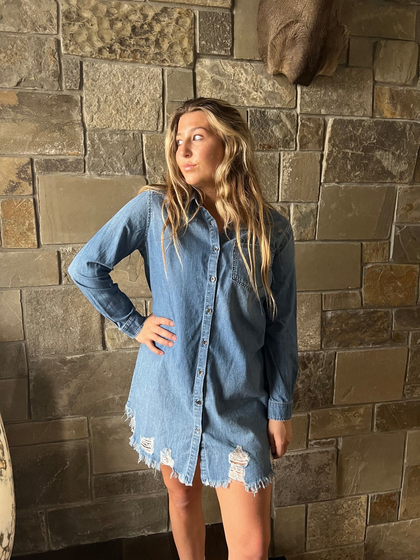 Johnny Cash "Man in Black" Vintage Denim Dress