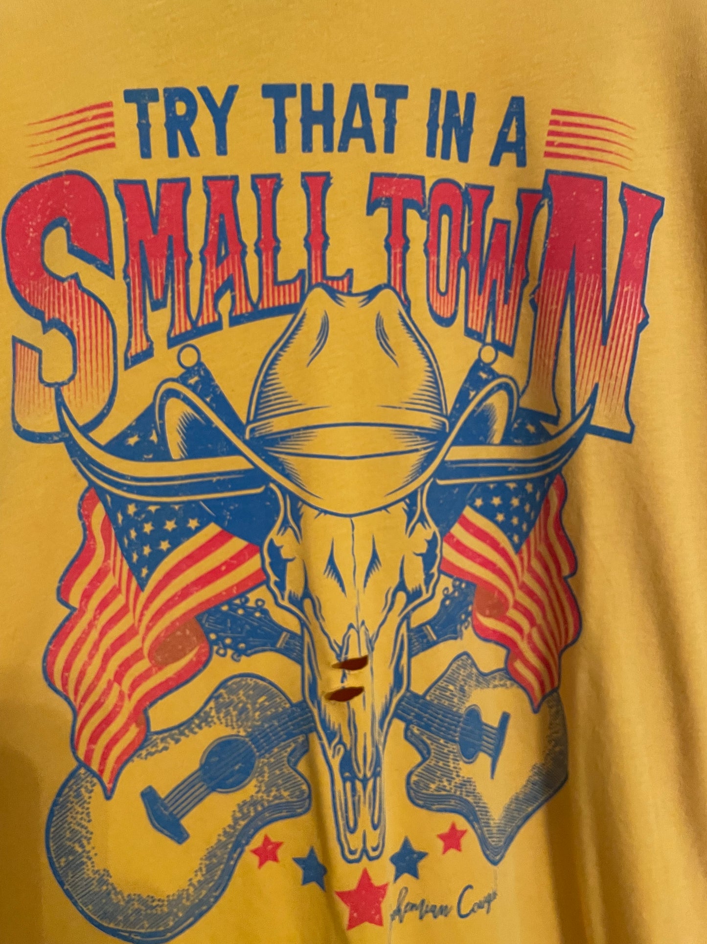 Try That In A Small Town Distreseed T-Shirt